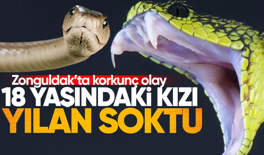 Zonguldak'ta korkunç olay: 18 yaşındaki kızı yılan soktu!