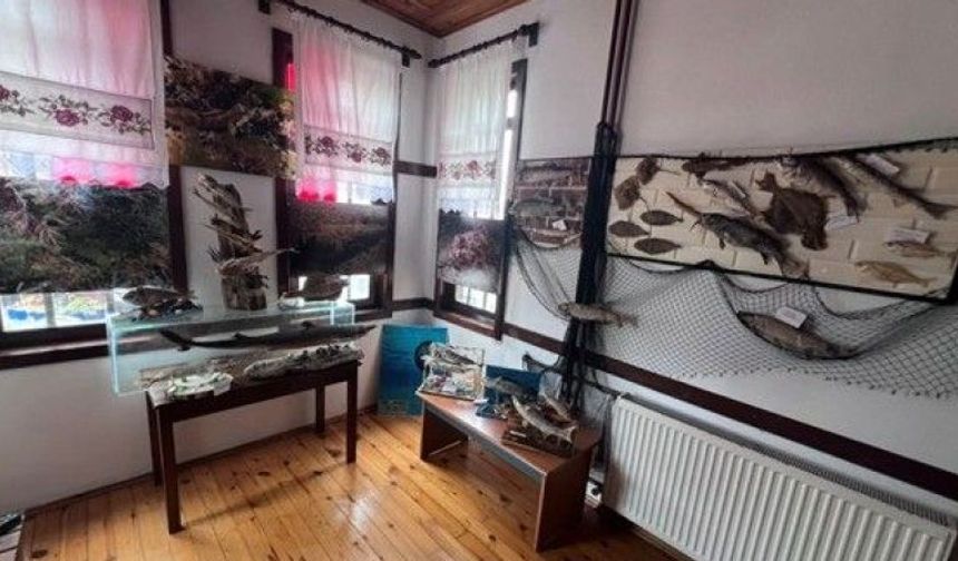 Akçakoca Sualtı Dünyası’na Ziyaretçi Akını
