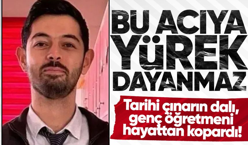 Bu acıya yürek dayanmaz: Tarihi çınarın dalı, öğretmeni hayattan kopardı!