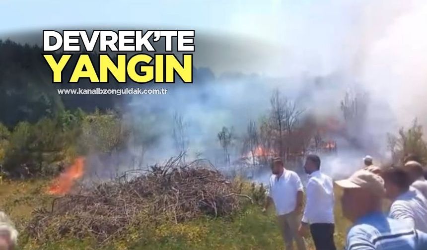 Devrek’te orman yangını: Vatandaşlar ve ekipler müdahale ediyor!