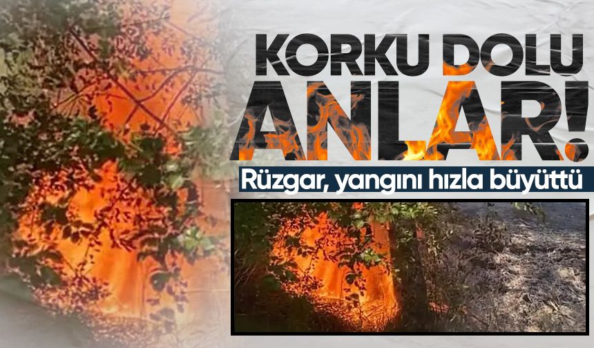 Korku dolu anlar: Rüzgar, yangını hızla büyüttü!