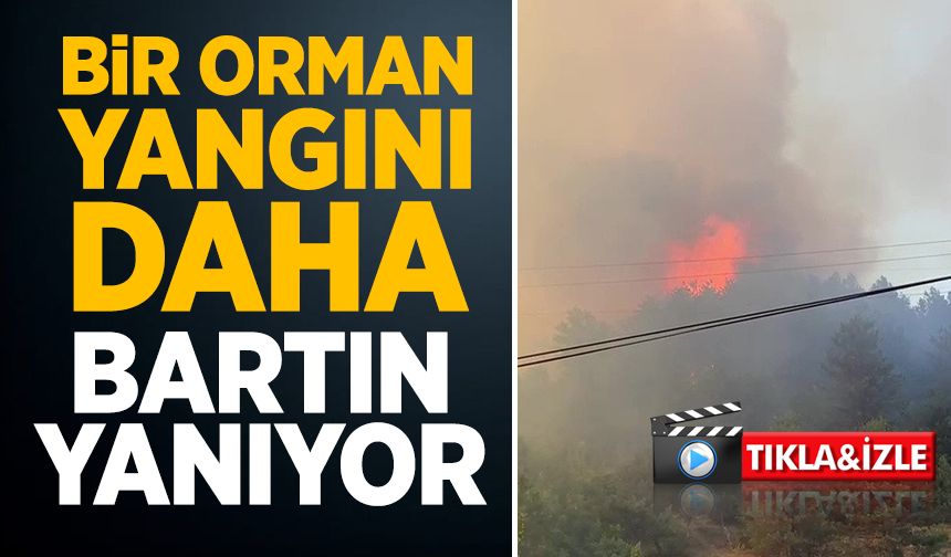 Bartın’da orman yangını başladı, müdahale sürüyor