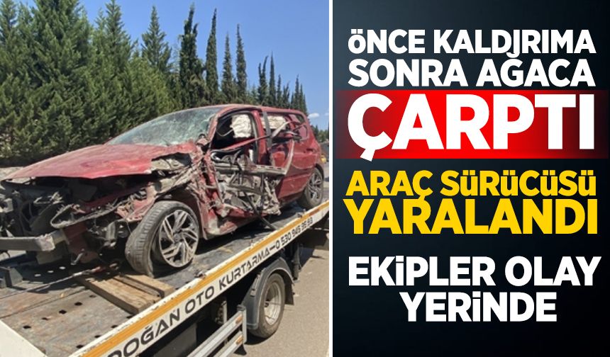 Ağaca çarparak durabilen aracın sürücü yaralandı