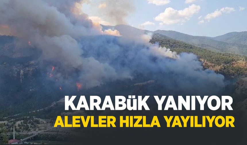 Karabük'te orman yangını: Rüzgar alevleri büyütüyor, müdahale havadan ve karadan sürüyor