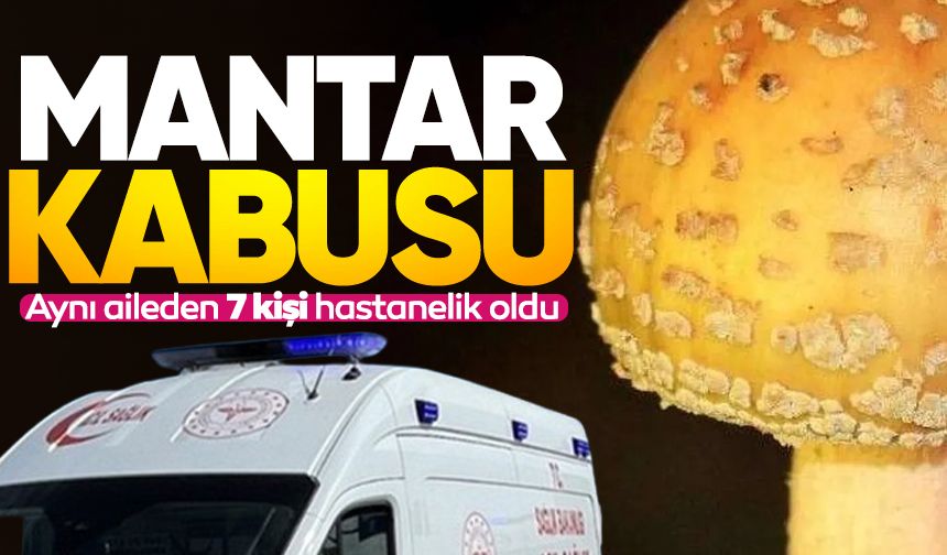 Aynı aileden mantar yiyen 7 kişi hastanelik oldu