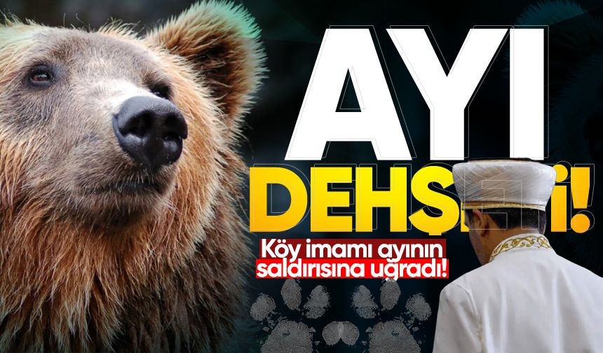 Ayı dehşeti: Köy imamı ayının saldırısına uğradı!