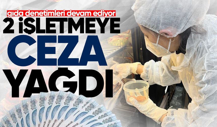 Devrek’te gıda denetimleri devam ediyor: 2 işletmeye daha cezai işlem!