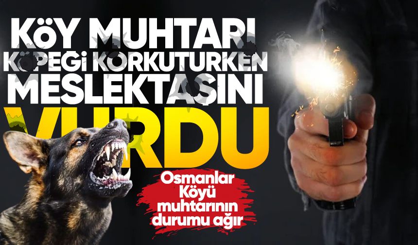 Köy muhtarı meslektaşını vurdu: Hastanede yaşam savaşı veriyor!