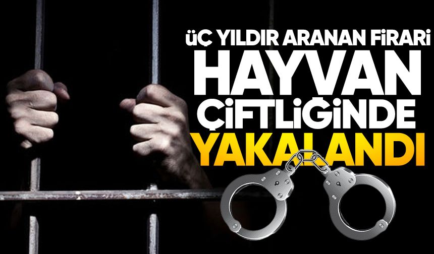 Üç yıldır aranan firari hayvan çiftliğinde yakalandı
