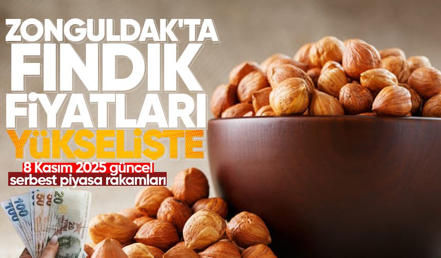 Zonguldak'ta fındık fiyatları yükselişte!
