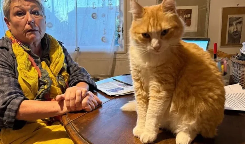 Dünyanın ilk mahpus kedisi: Bu sarman hapis yatacak