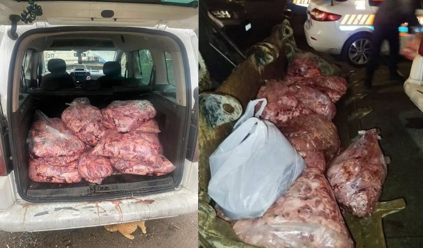 Devrek’te 450 kilo bozulmuş et ele geçirildi