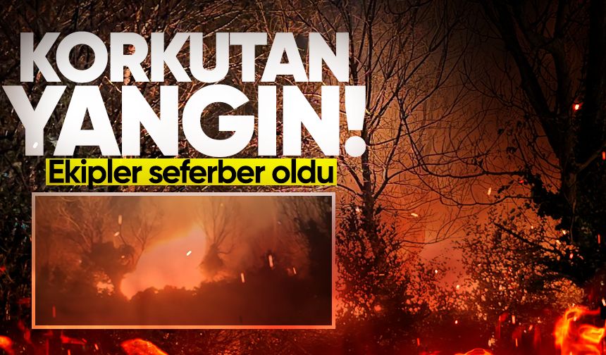 İlçede korkutan yangın: Ekipler seferber oldu!