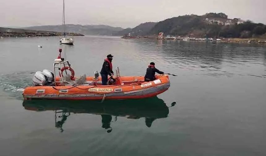 Bir haftadır limanda mahsur kalan yunusu ekipler kurtardı