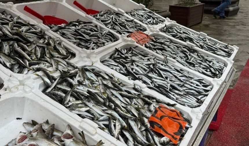 Zonguldak’ta balık fiyatları vatandaşı üzüyor
