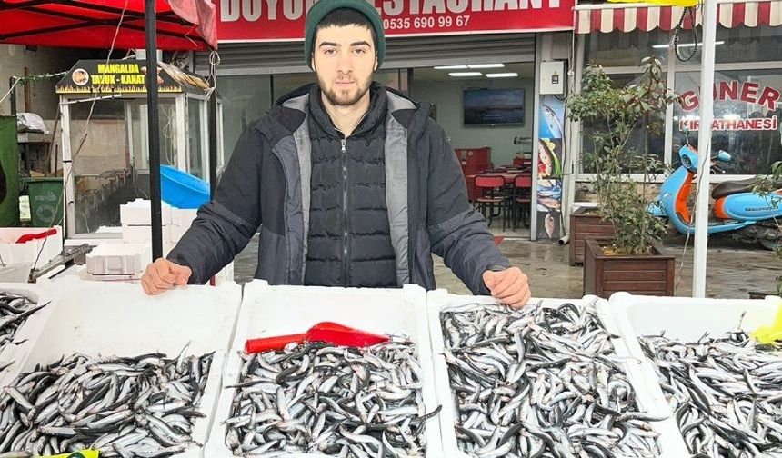 Hava şartları balık fiyatlarını düşürdü