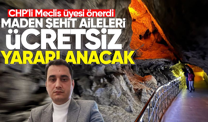 CHP'li Meclis üyesi önerdi: Maden şehit aileleri ücretsiz yararlanacak!