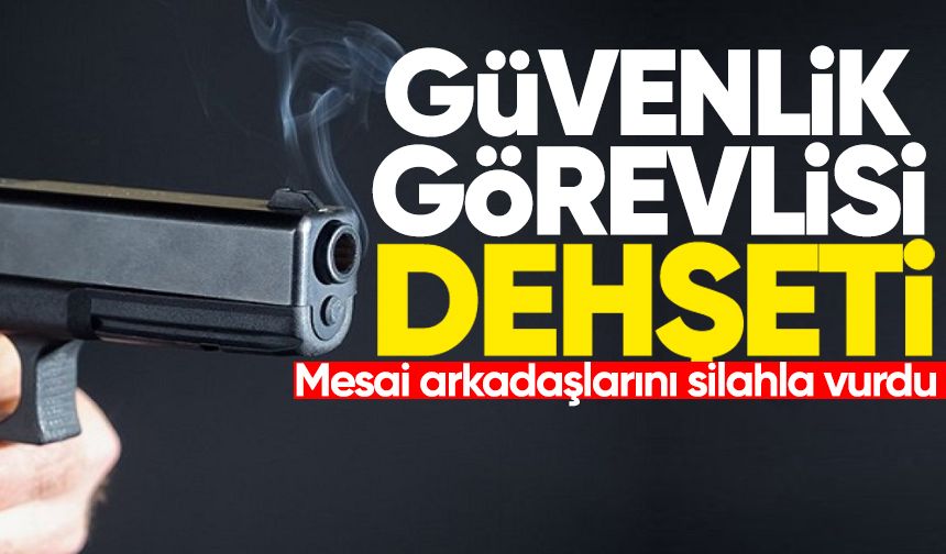 Güvenlik görevlisi dehşeti: Mesai arkadaşlarını silahla vurdu!