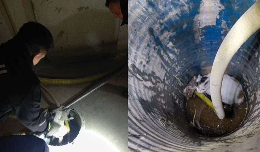 Rögar çukuruna düşen kedinin imdadına itfaiye ekipleri yetişti