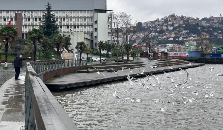 Zonguldak sahilinde şok görüntü: Görenler cep telefonuna sarıldı