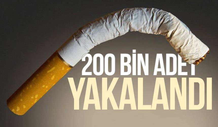Zonguldak'ta 200 bin adet boş makaron yakalandı