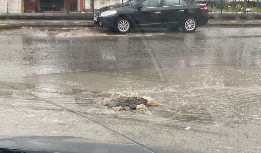 Zonguldak Belediyesi sınıfta kaldı! Rögarlardan yağmur suyu fışkırdı