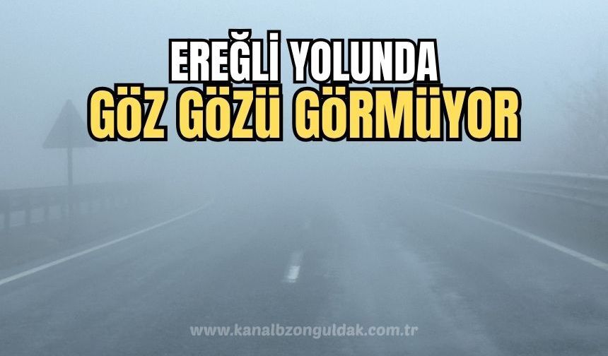 Zonguldak- Ereğli yolunda sis etkisini gösterdi