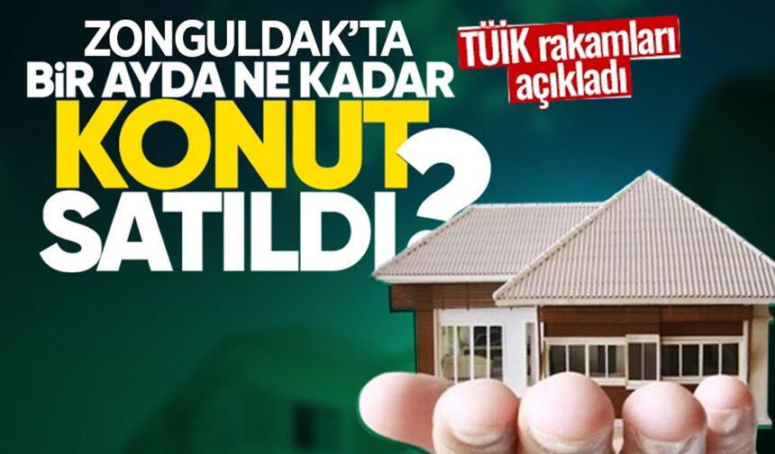 TÜİK açıkladı: Şubat ayında Zonguldak'ta kaç konut satıldı?