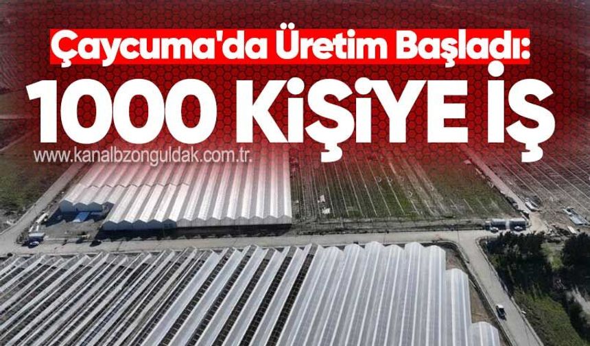 Çaycuma'da Üretim Başladı: 1000 Kişiye İş