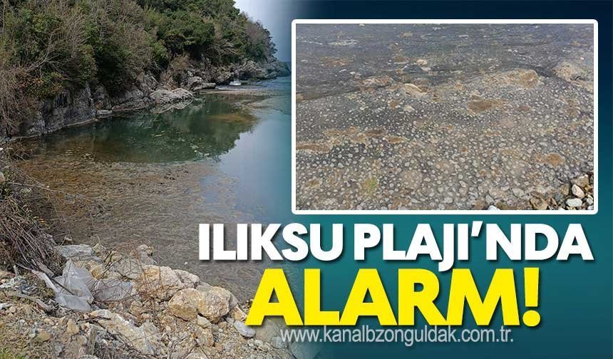 Ilıksu Plajı’nda Alarm: Şikayet Var, Çözüm Yok