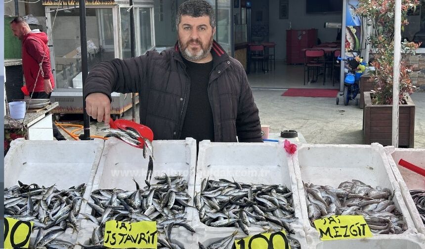 Zonguldak’ta istavritin fiyatı düştü!