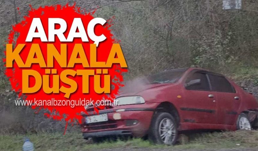 Araç Kanala Düştü