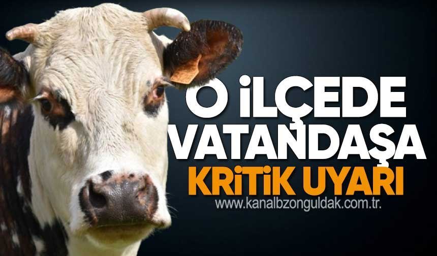 Hayvanlarınızı Başıboş Bırakmayın