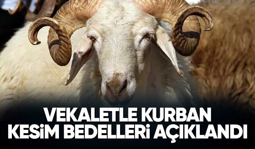 Diyanet, vekaletle kurban kesim bedelini açıkladı