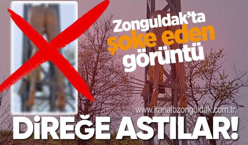 Zonguldak'ta şoke eden görüntü