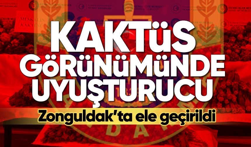 Evde kurulan düzenek ortaya çıktı