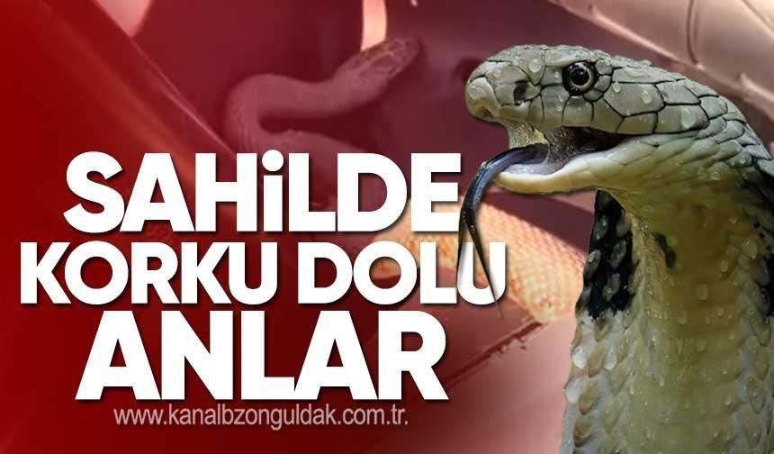 Kozlu Sahili'nde Motosiklete Girdi