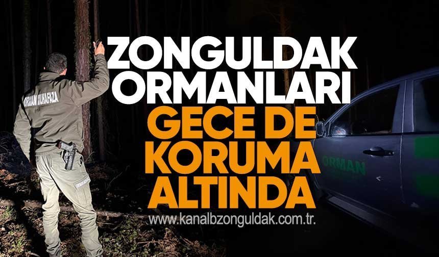 Zonguldak Ormanları Gece de Koruma Altında