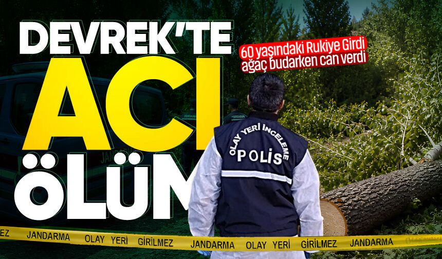 Devrek’te kahreden ölüm: Ağaç budarken düşüp hayatını kaybetti!