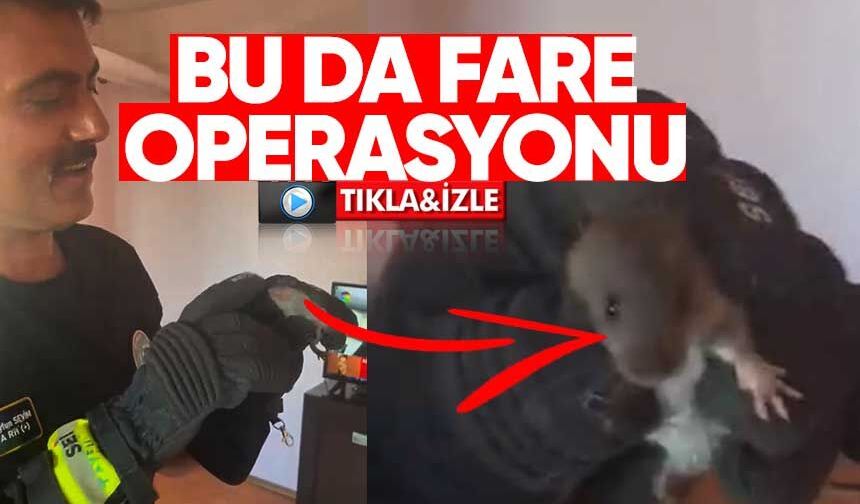 Eve Giren Fareyi Eliyle Yakaladı!