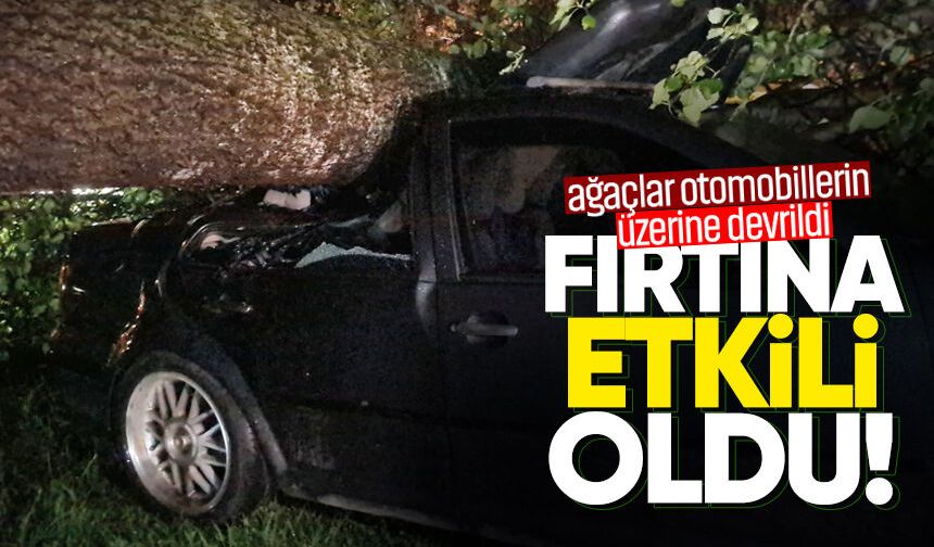 Fırtınada devrilen ağaç 3 araca hasar verdi!