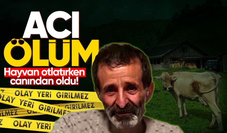 Hayvan otlatırken rahatsızlanan şahıs hayatını kaybetti