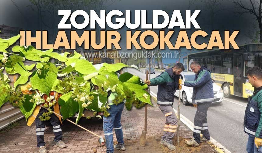 Zonguldak’ta Yeşil Dönüşüm Başladı