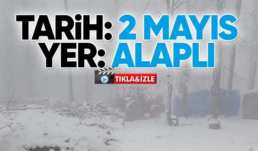 Şaka değil gerçek...