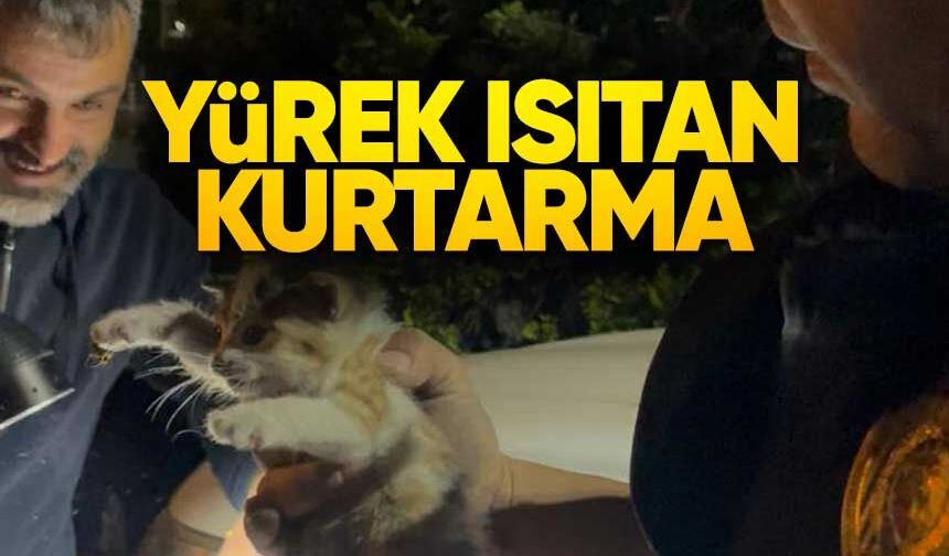 İtfaiye Minik Kedi İçin Seferber Oldu
