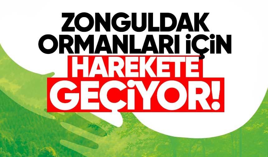 Karaman’da ‘Orman Benim’ Seferberliği