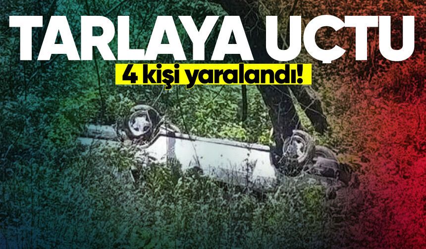 Otomobil tarlaya uçtu: 4 kişi yaralandı!