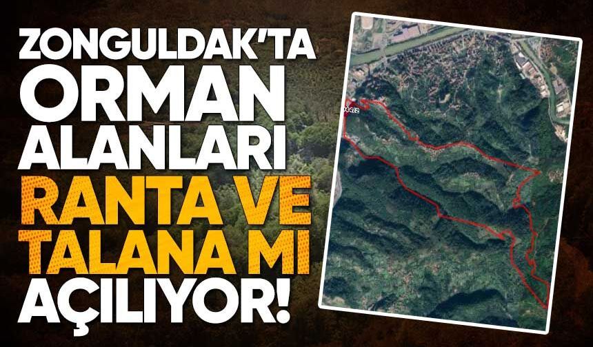 23 İlde Orman Kararı Gündemde: Zonguldak İçin Rant İddiası