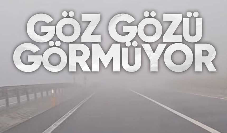 Zonguldak-Ereğli Yolunda Yoğun Sis Etkili Oldu