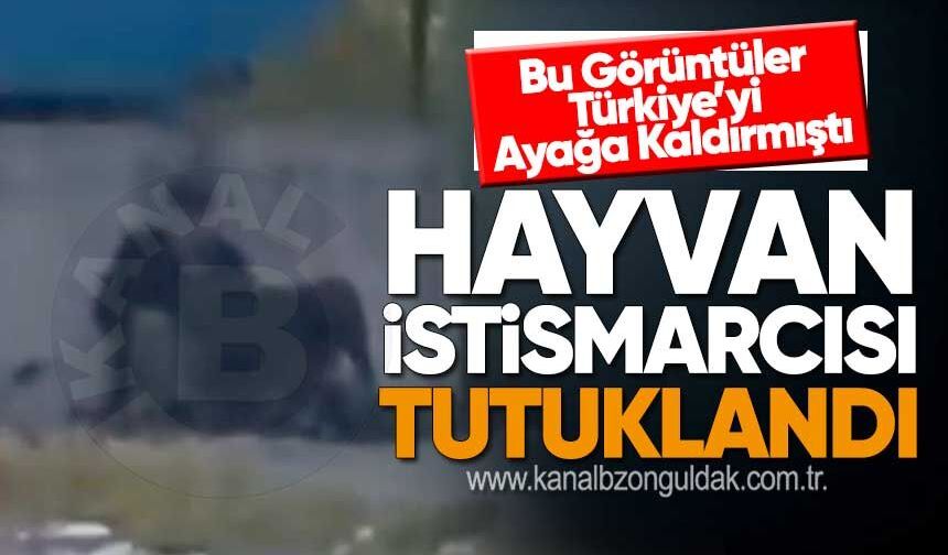 Ereğli’de İnsanlık Dışı Olay: S*apık T.G. Tutuklandı